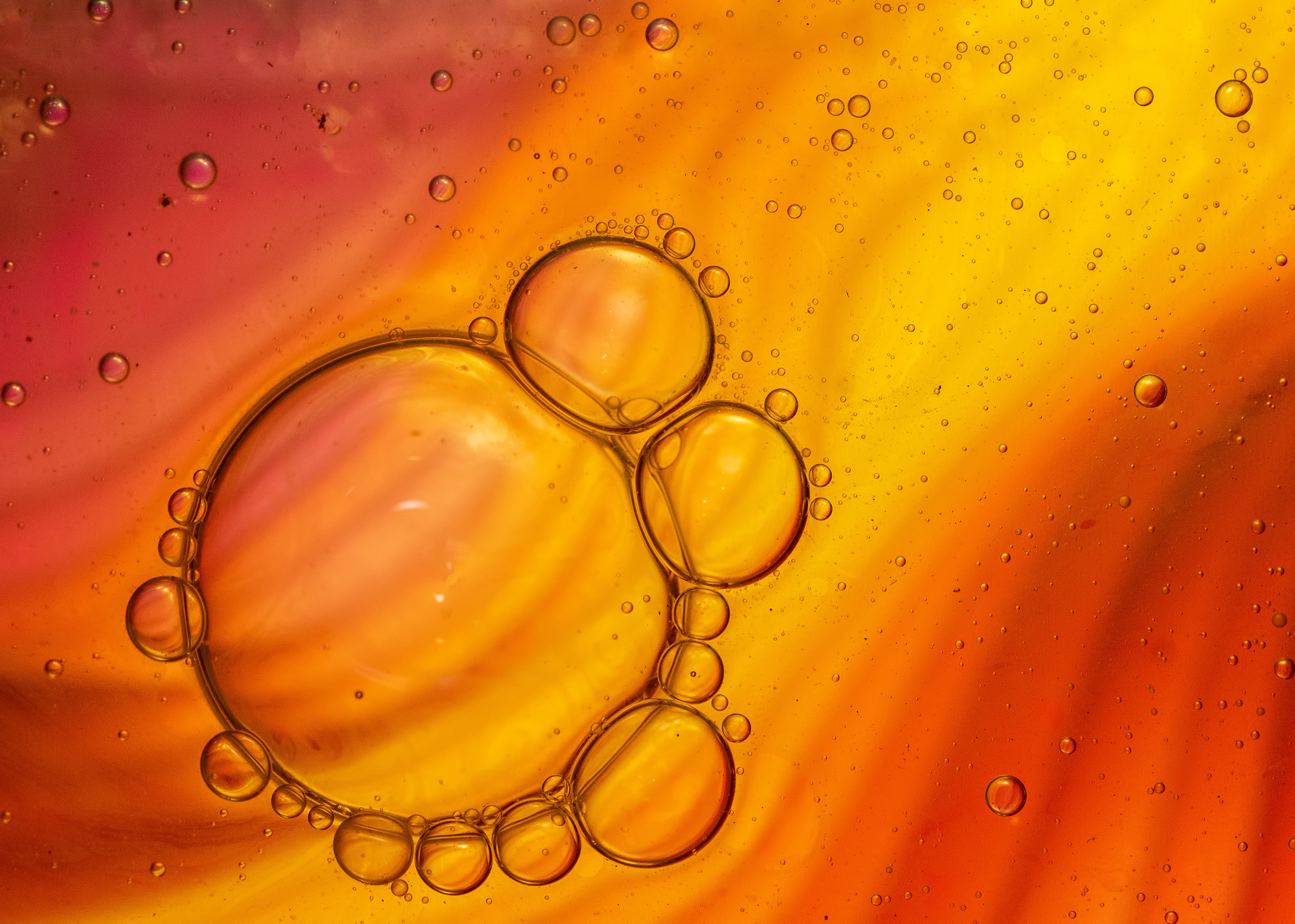 Meeting Photo Slide Show